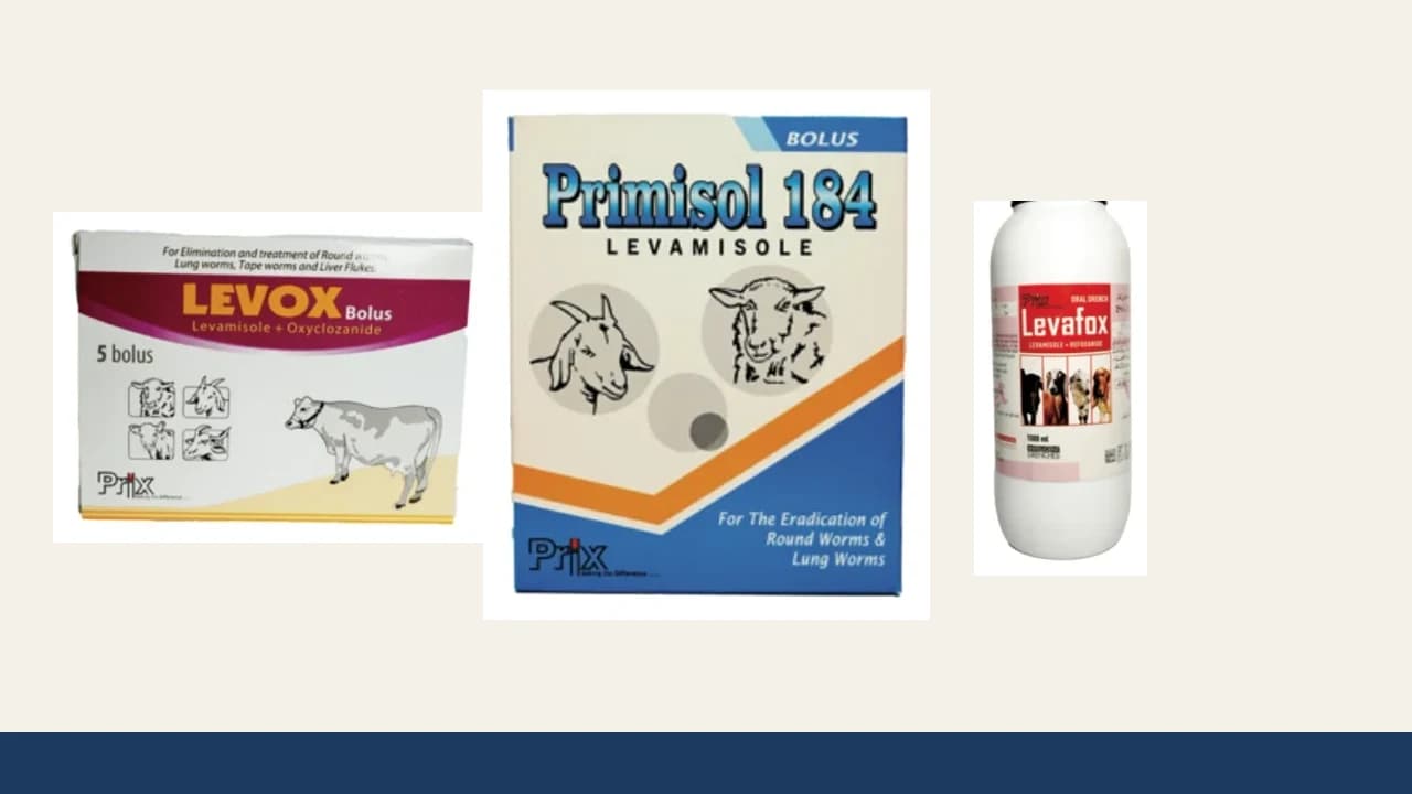 Prix Pharmaceutica levamisole formulations including Primisol 184 bolus with Levox bolus and Levafox oral drench on an editorial background