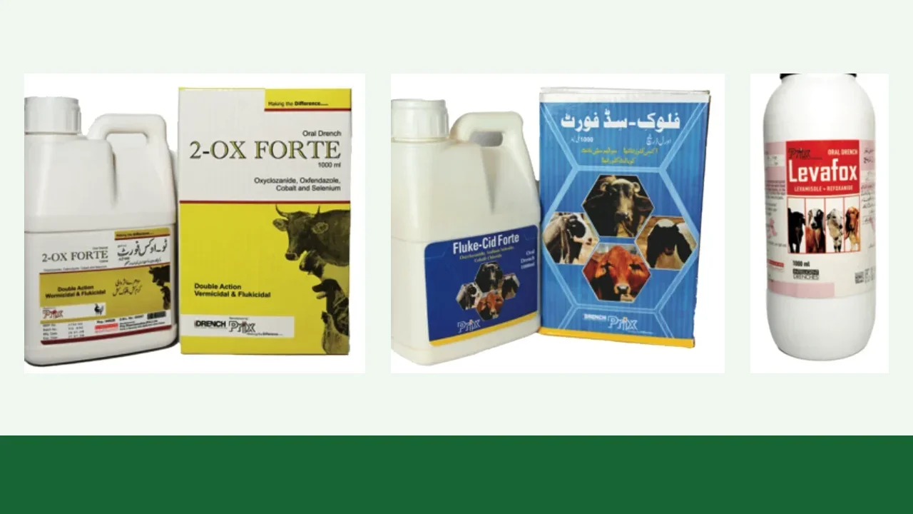 Prix livestock parasite-control products including oral drench presentations arranged on a soft green editorial background