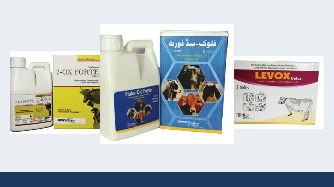 Prix Pharmaceutica oxyclozanide formulations including Fluke-Cid Forte oral drench with 2-Ox Forte and Levox packaging on an editorial background