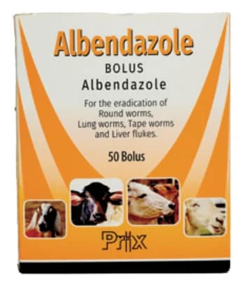 Albendazole 300 mg bolus packaging by Prix Pharmaceutica