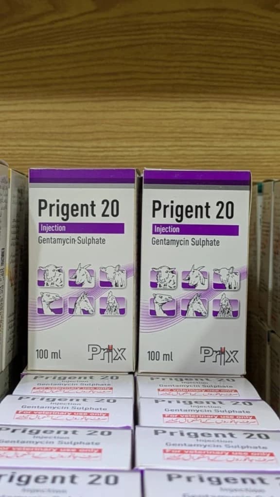 Prigent 20 gentamycin sulphate injection packaging by Prix Pharmaceutica