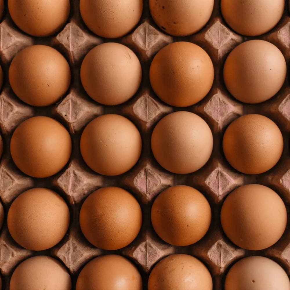 Pri Nor 20 poultry product placeholder