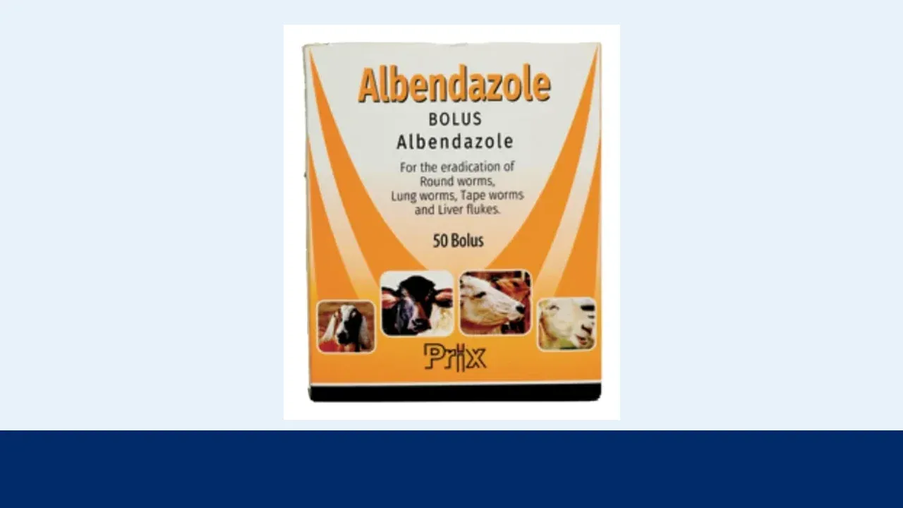 Prix Pharmaceutica Albendazole 300 mg bolus packaging on a light blue editorial background