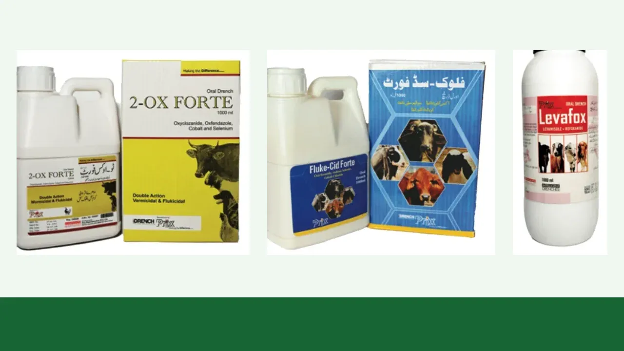 Prix livestock parasite-control products including oral drench presentations arranged on a soft green editorial background