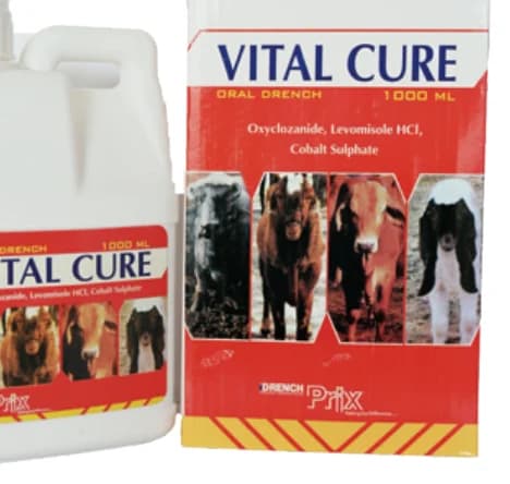 Vital Cure oral drench packaging by Prix Pharmaceutica