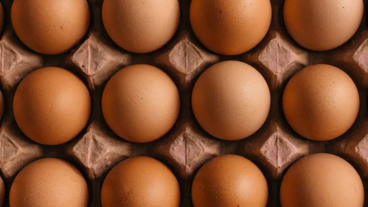 Brown eggs in a carton representing food-producing poultry systems
