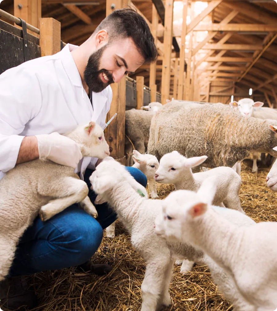 Veterinary professional imagery from Fatro official website