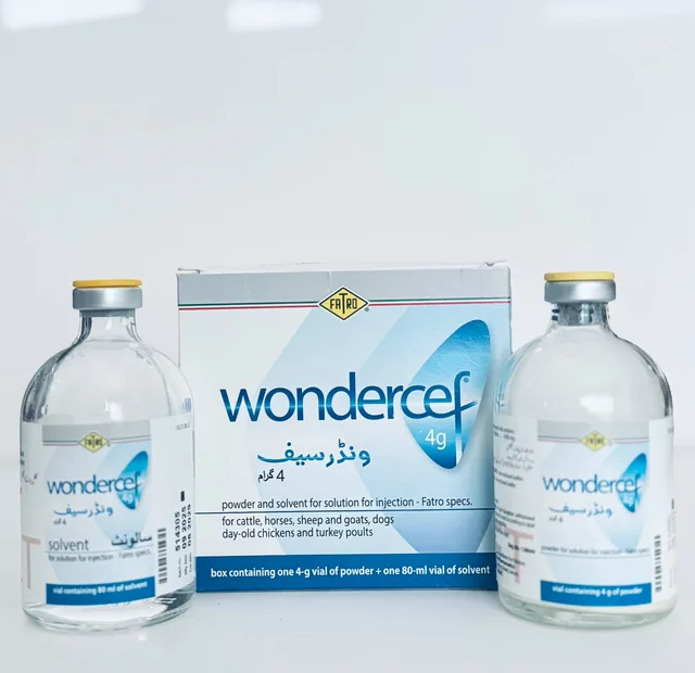 Wondercef 4g (Wonderceff) - Authentic FATRO Packaging