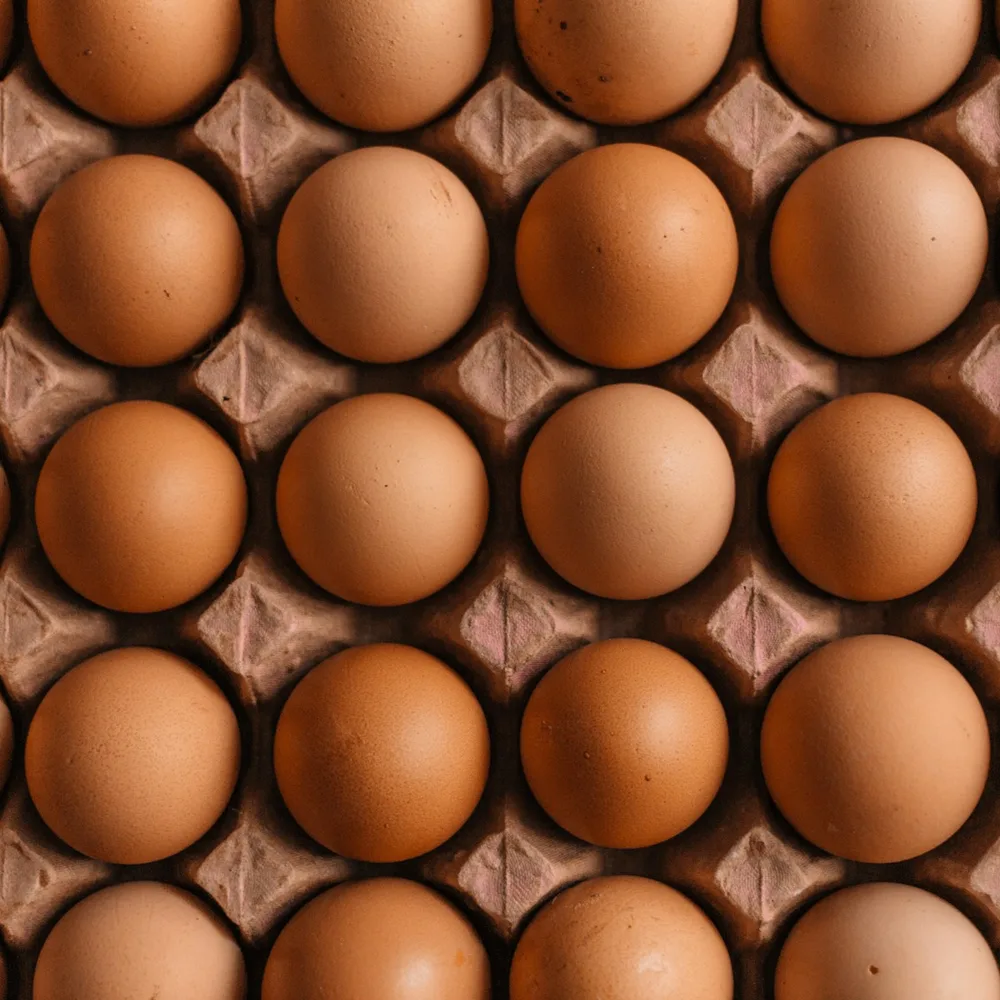 Brown eggs arranged in a pulp carton
